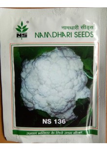 NS 136 Cauliflower